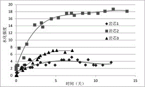Evaluation method for physical and chemical action of drilling fluid and shale formation