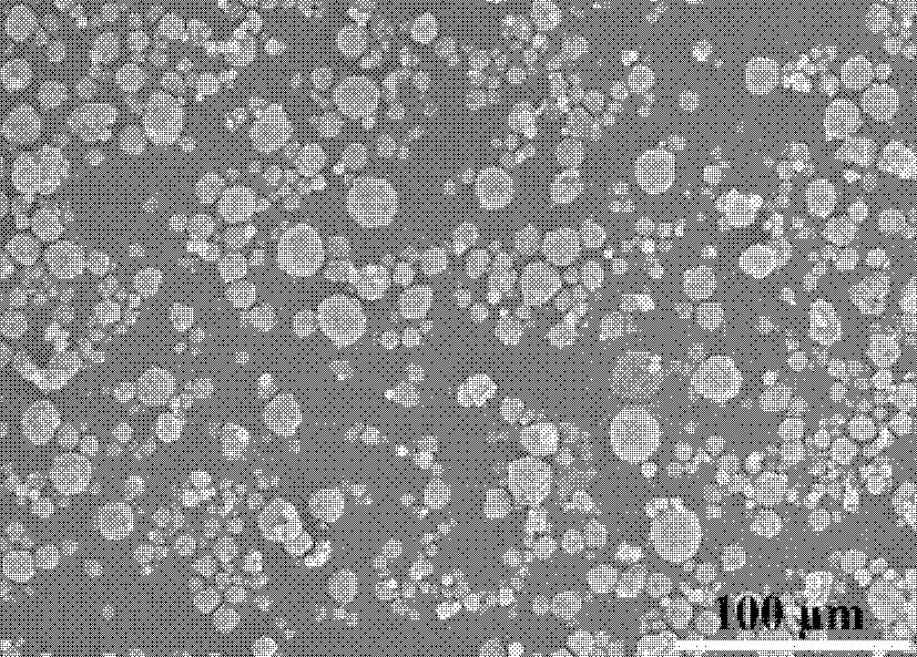 Polyolefin catalyst adopting carbon nanotubes as carriers and preparation method thereof