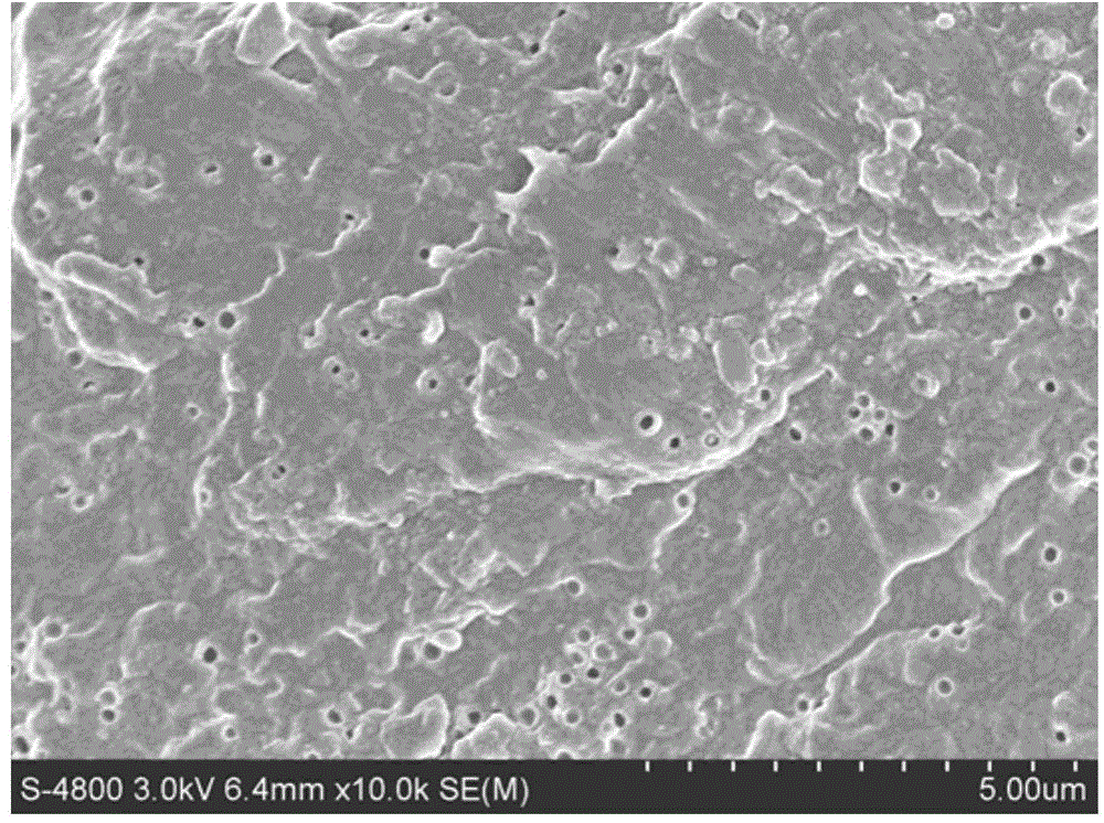 Composite membrane containing sulfonic acid functionalized hollow nano hydrogel as well as preparation and application thereof