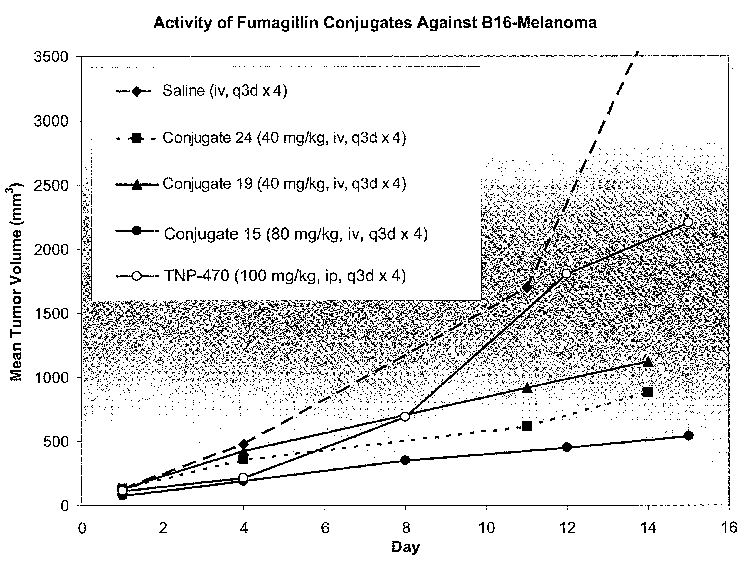 Biocompatible biodegradable fumagillin analog conjugates