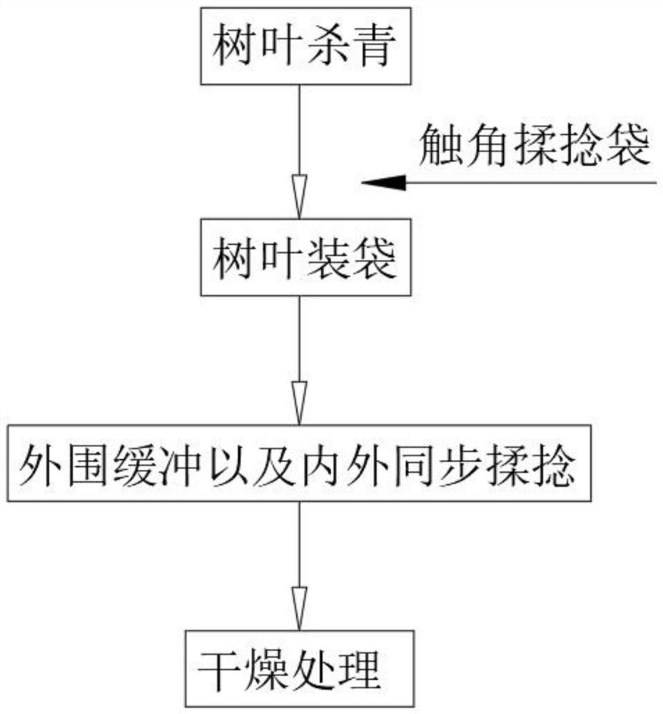 Process for processing leaves into tea