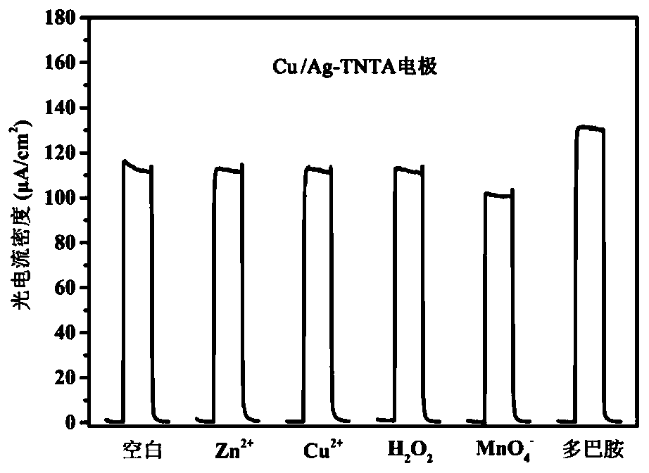 Preparation method of titanium oxide nanotube array-based photoelectrochemical detection electrode