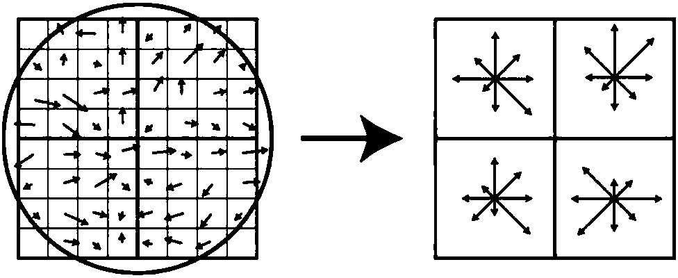 Foot-type three-dimensional reconstruction and measurement method based on Kinect and binocular vision