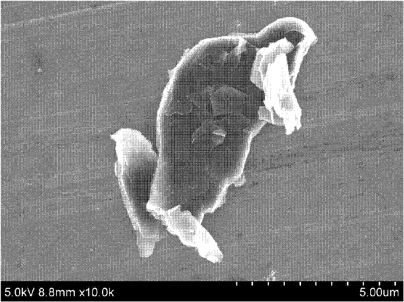 Method for preparing carbon particles/copper composite materials