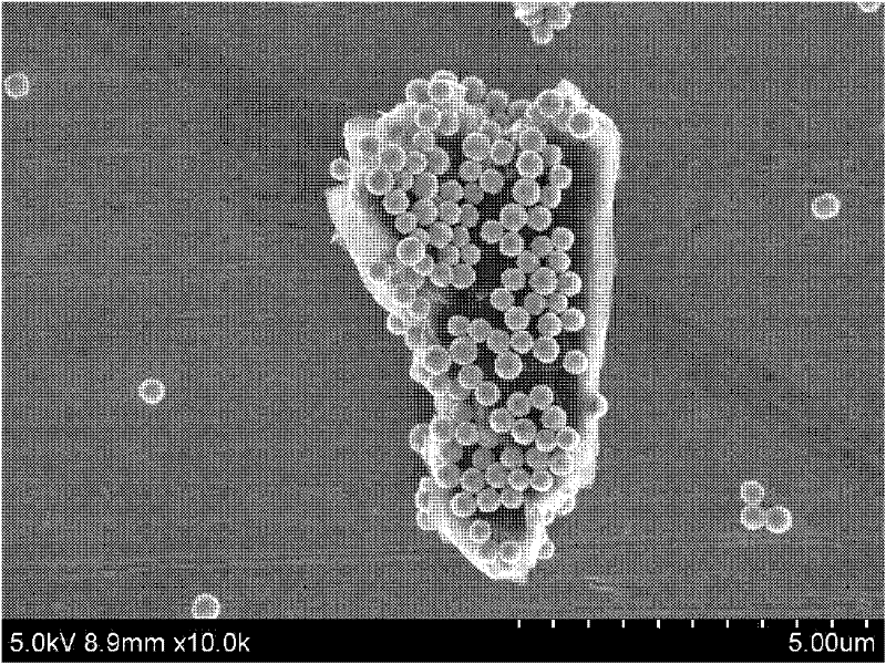 Method for preparing carbon particles/copper composite materials