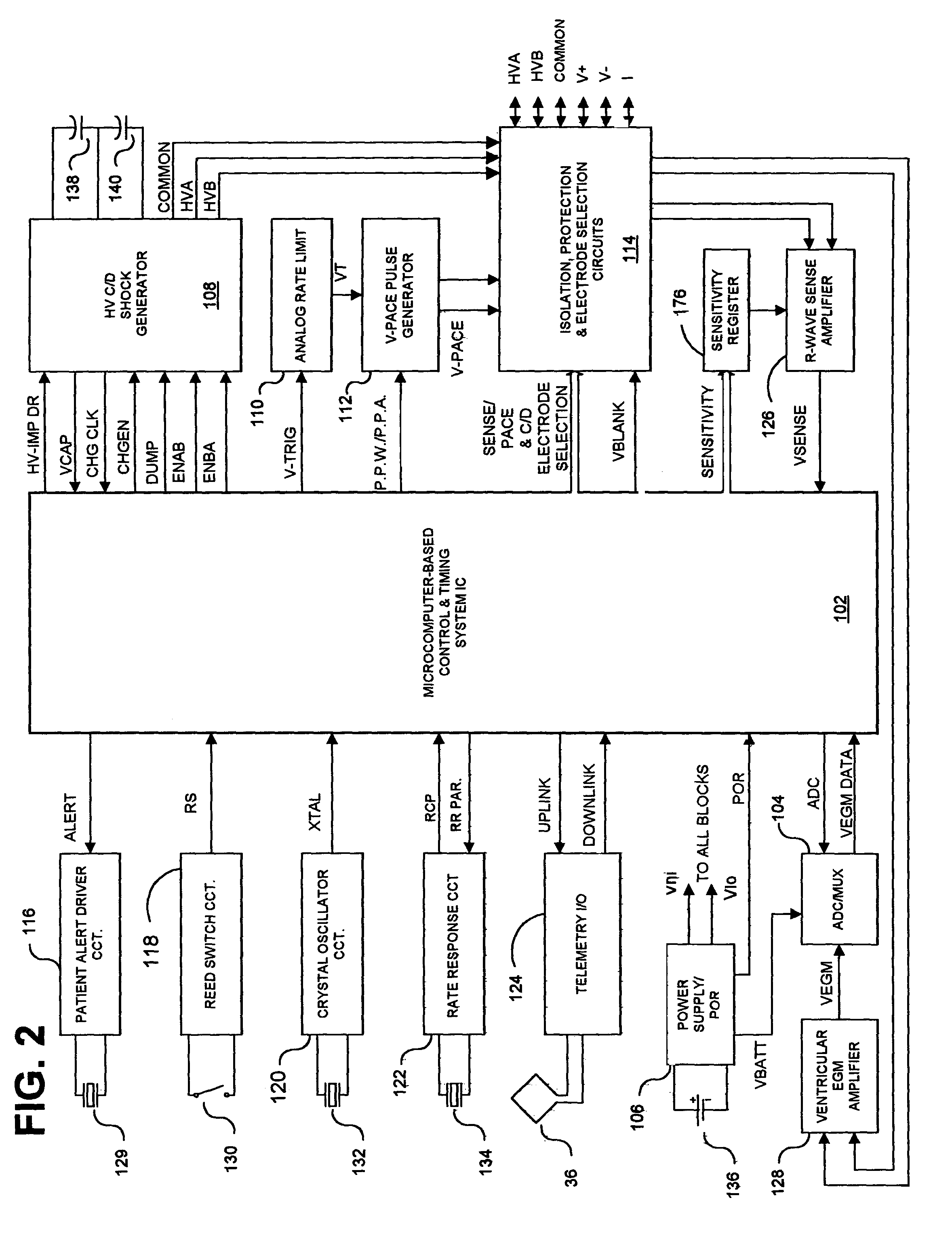 Methods and apparatus for discriminating polymorphic tachyarrhythmias from monomorphic tachyarrhythmias facilitating detection of fibrillation