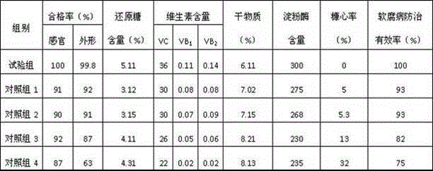 Trace element water-soluble medicinal fertilizer for off-season fruit green radish and preparation method thereof