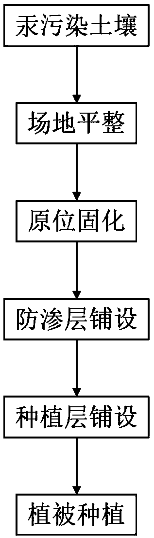 In-situ remediation method for heavy metal contaminated soil and application thereof