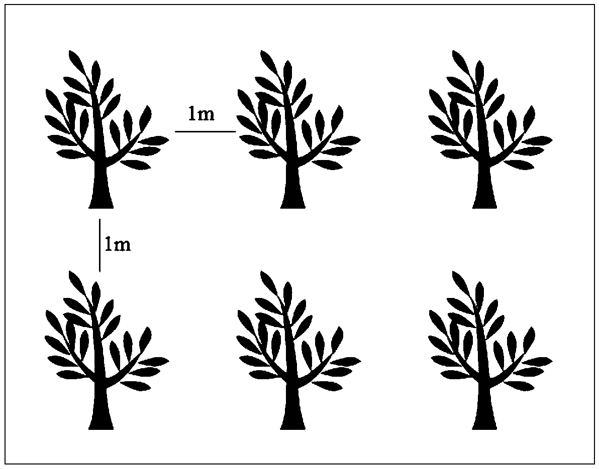 In-situ remediation method for heavy metal contaminated soil and application thereof