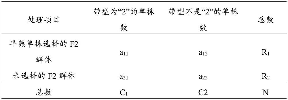 SSR marker, primer pair, application of SSR marker, and screening method of SSR marker sites related to early-maturing molecular breeding of upland cotton