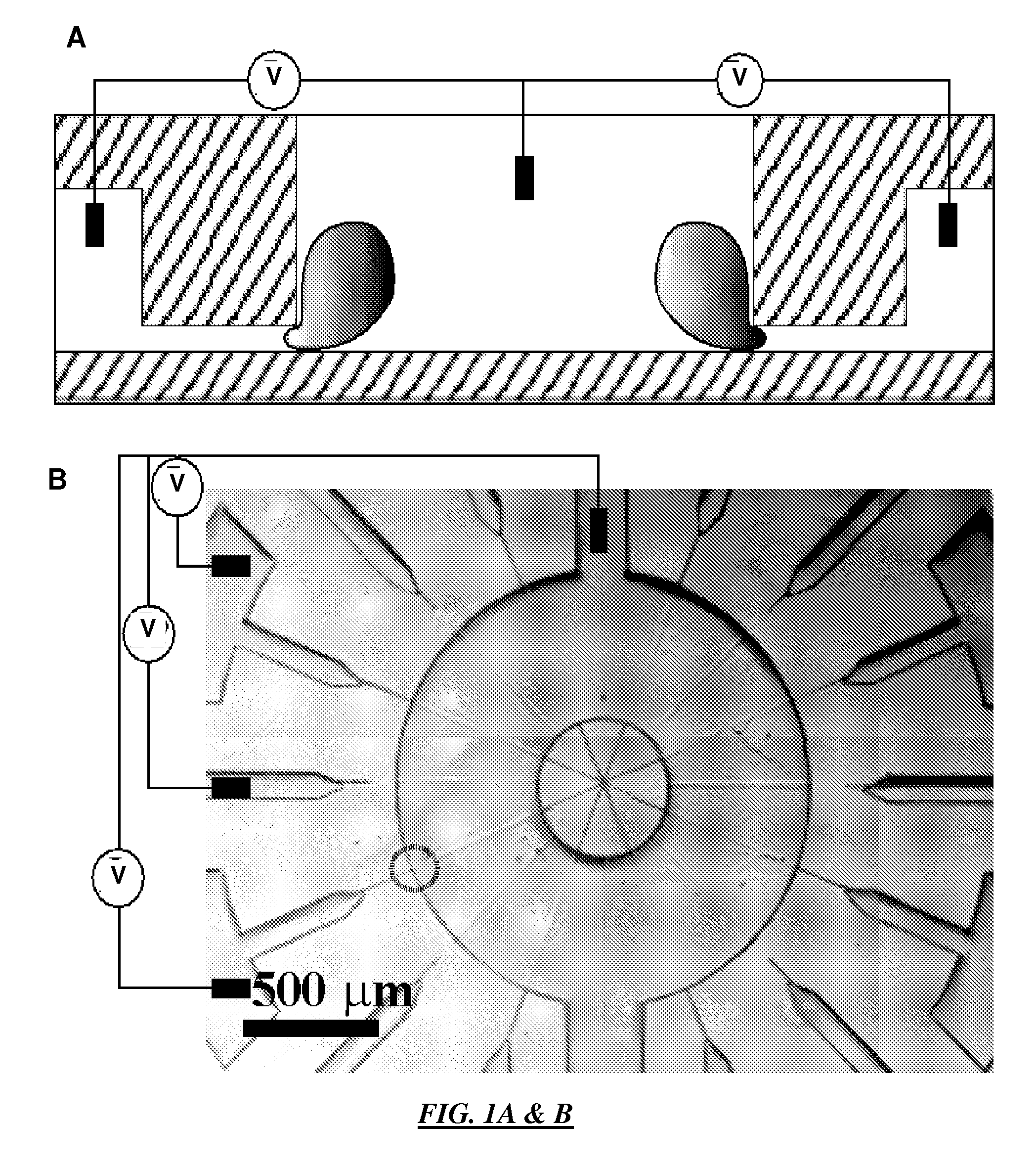 Method and apparatus for integrated cell handling and measurements