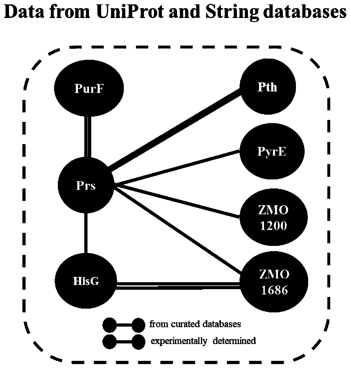 Method for analyzing protein interactions in prokaryotes based on YESS