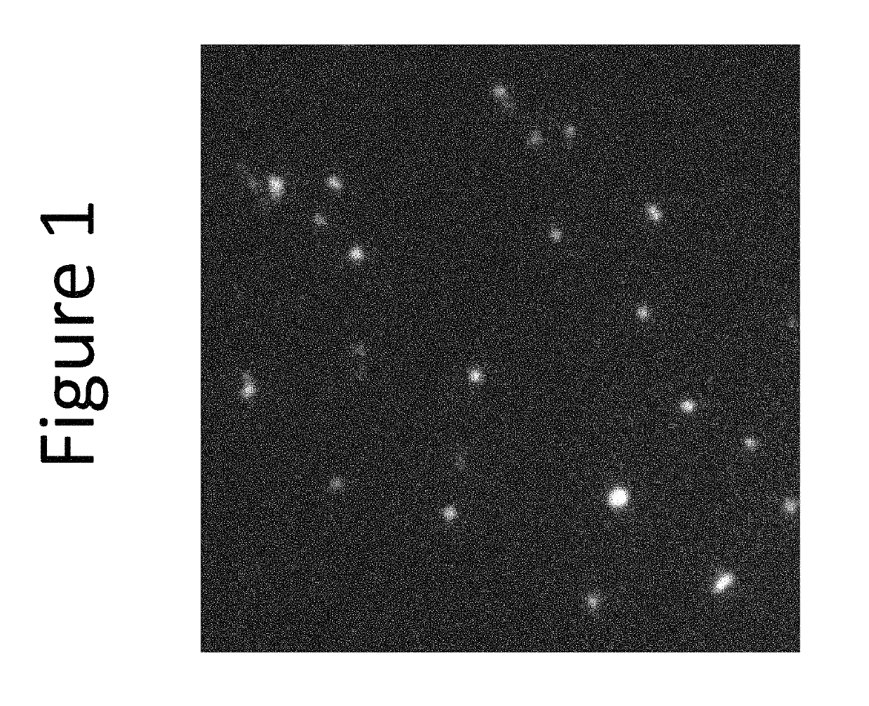 Enhanced loading of intact, bacterially derived vesicles with small molecule compounds