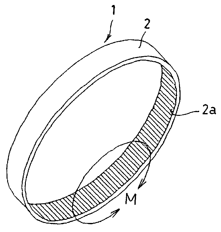 Endless boot fixing band and manufacturing method thereof