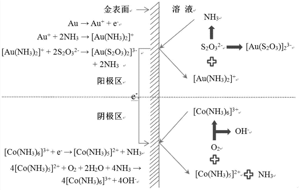 A kind of cobalt, the method for ammonia catalysis thiosulfate leaching gold