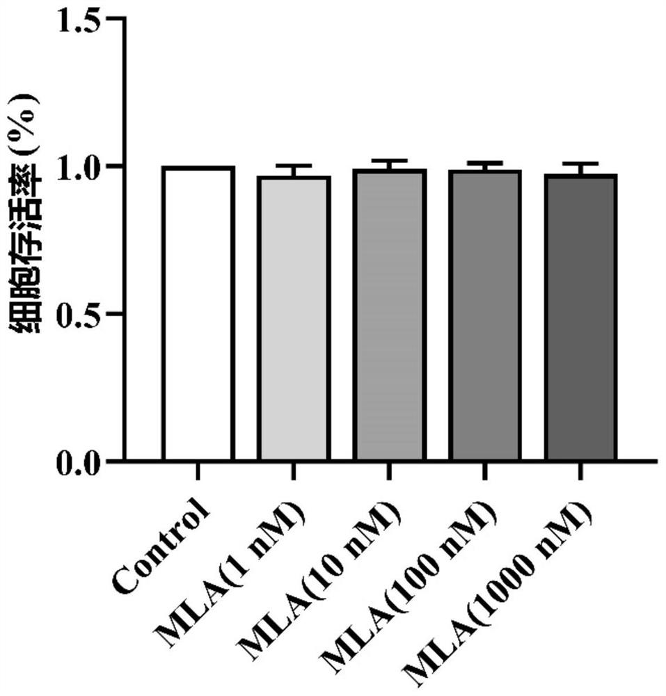 Application of methyllycaconitine or citrate thereof in prevention or treatment of HIV related neurocognitive dysfunction