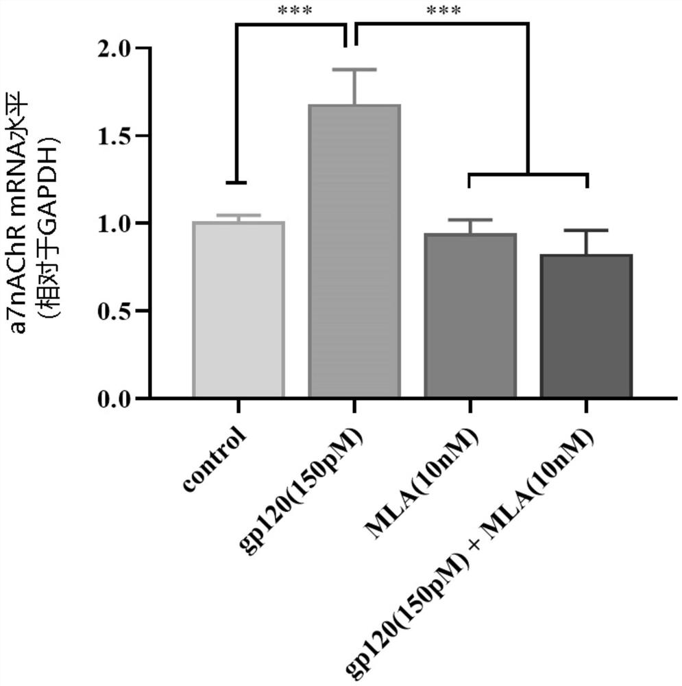 Application of methyllycaconitine or citrate thereof in prevention or treatment of HIV related neurocognitive dysfunction
