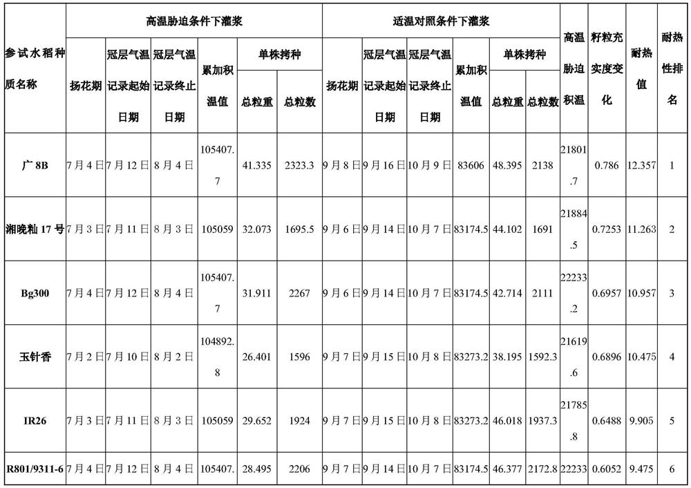 Quantification method for evaluating heat resistance of different genotypes of rice germplasms in filling period