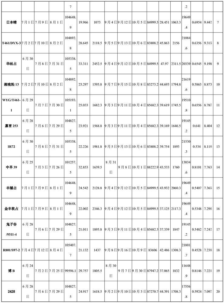 Quantification method for evaluating heat resistance of different genotypes of rice germplasms in filling period