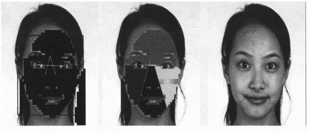 Image recognition-based facial skin analysis system