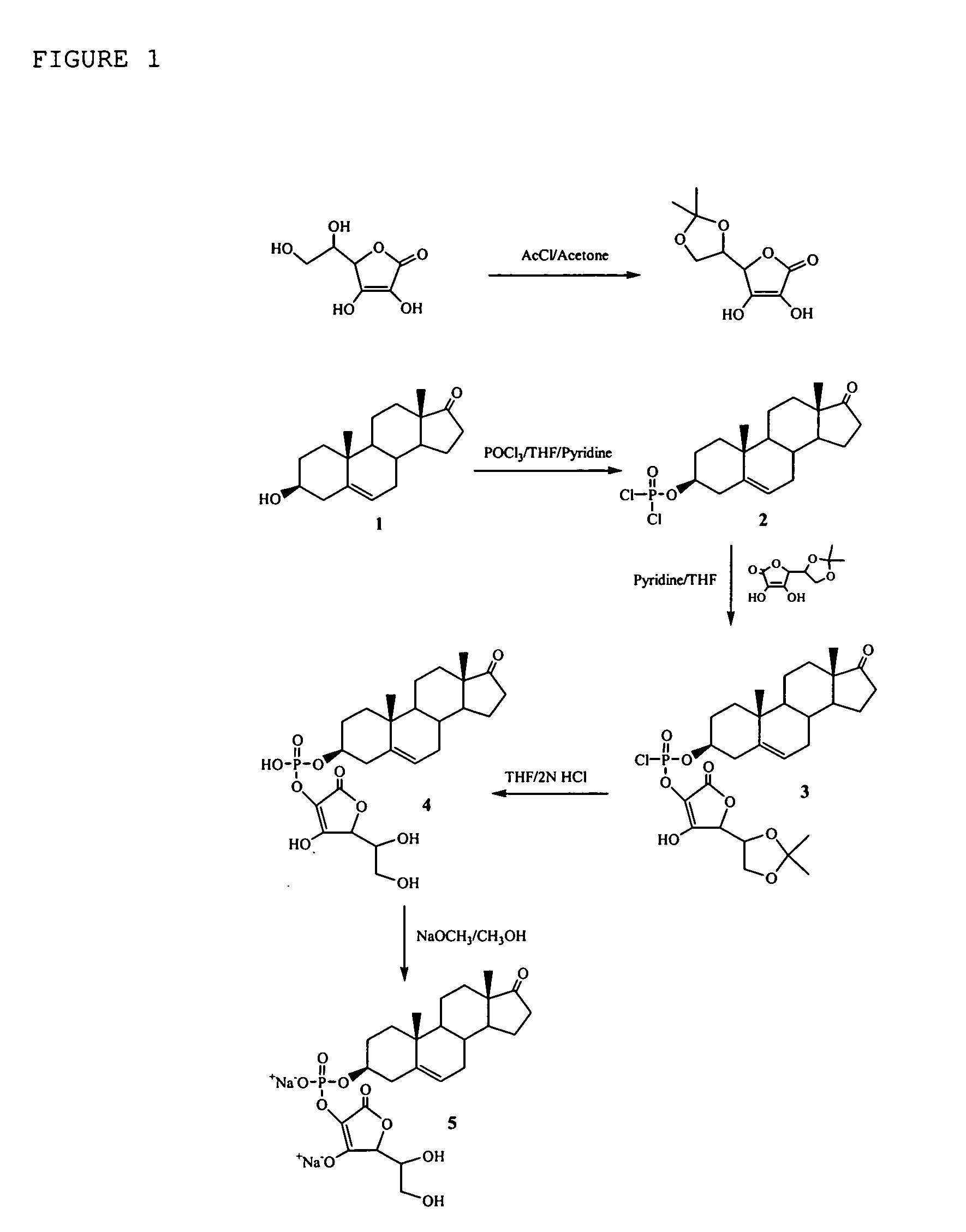 Compositions comprising one or more policosanols and/or policosanoic acids combined with sterol and/or steroid based ascorbic acid derivatives, and uses thereof