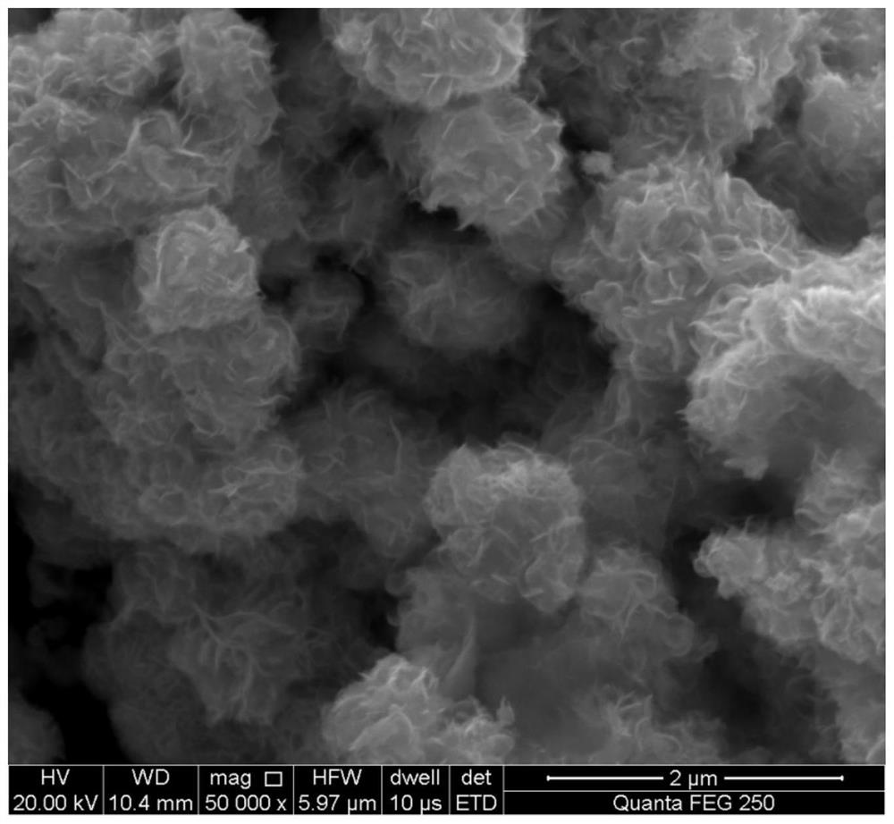 A kind of ptagco/c nano flower structure catalytic material and preparation method thereof and application as fuel cell catalyst