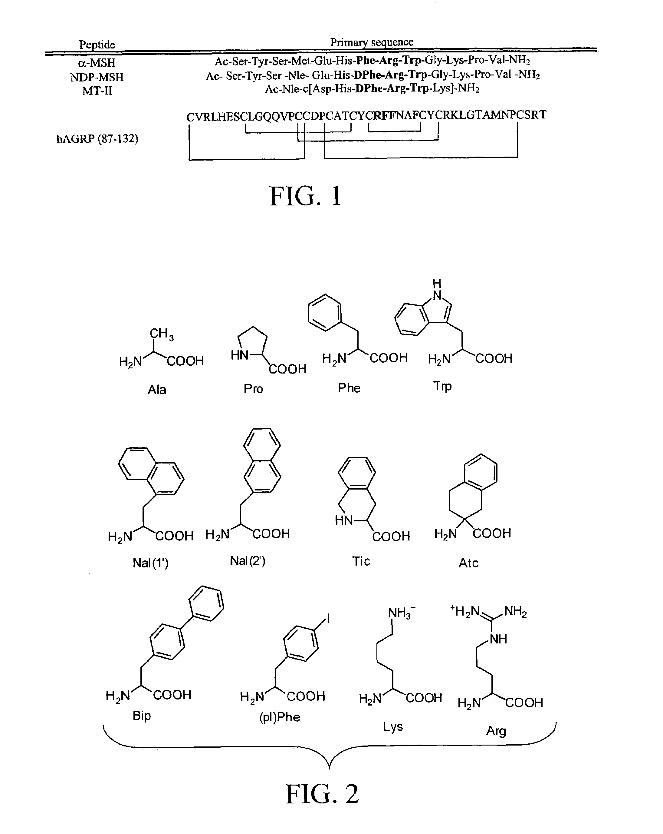 Melanocortin receptor templates, peptides, and use thereof
