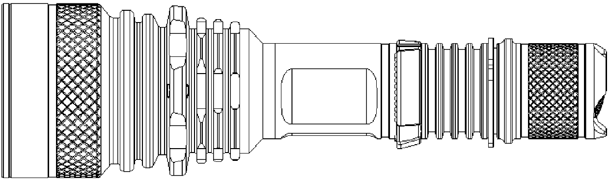 Tail-shared modular lighting device