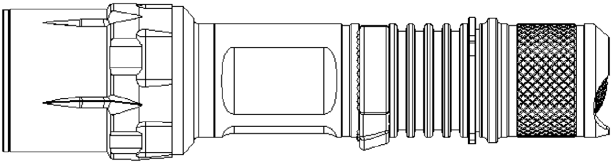 Tail-shared modular lighting device