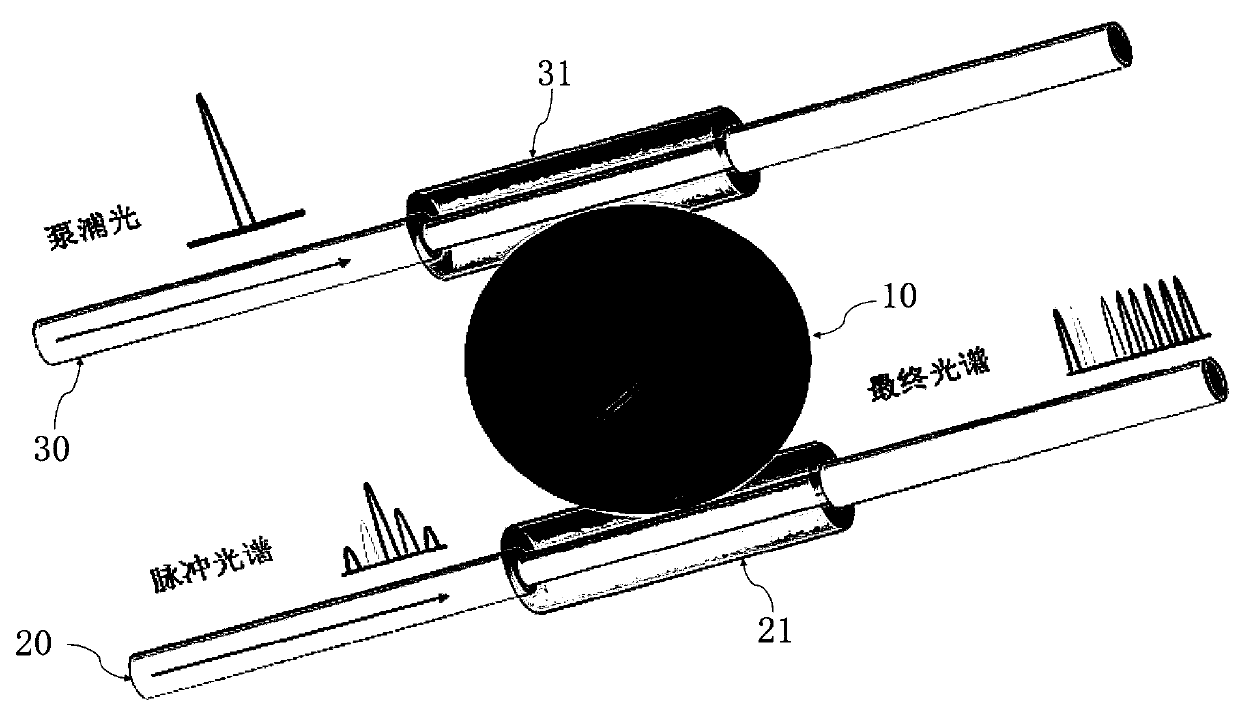 Multi-carrier light signal generation device and method based on doped whispering gallery ball