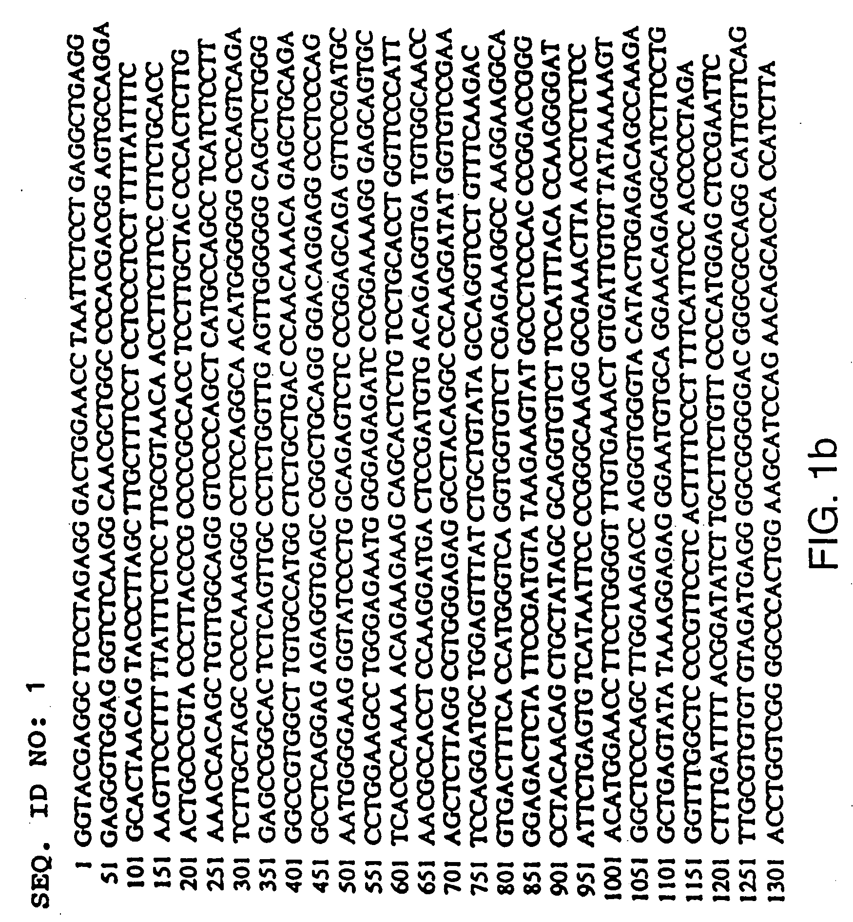 Heterologous polypeptide of the TNF family