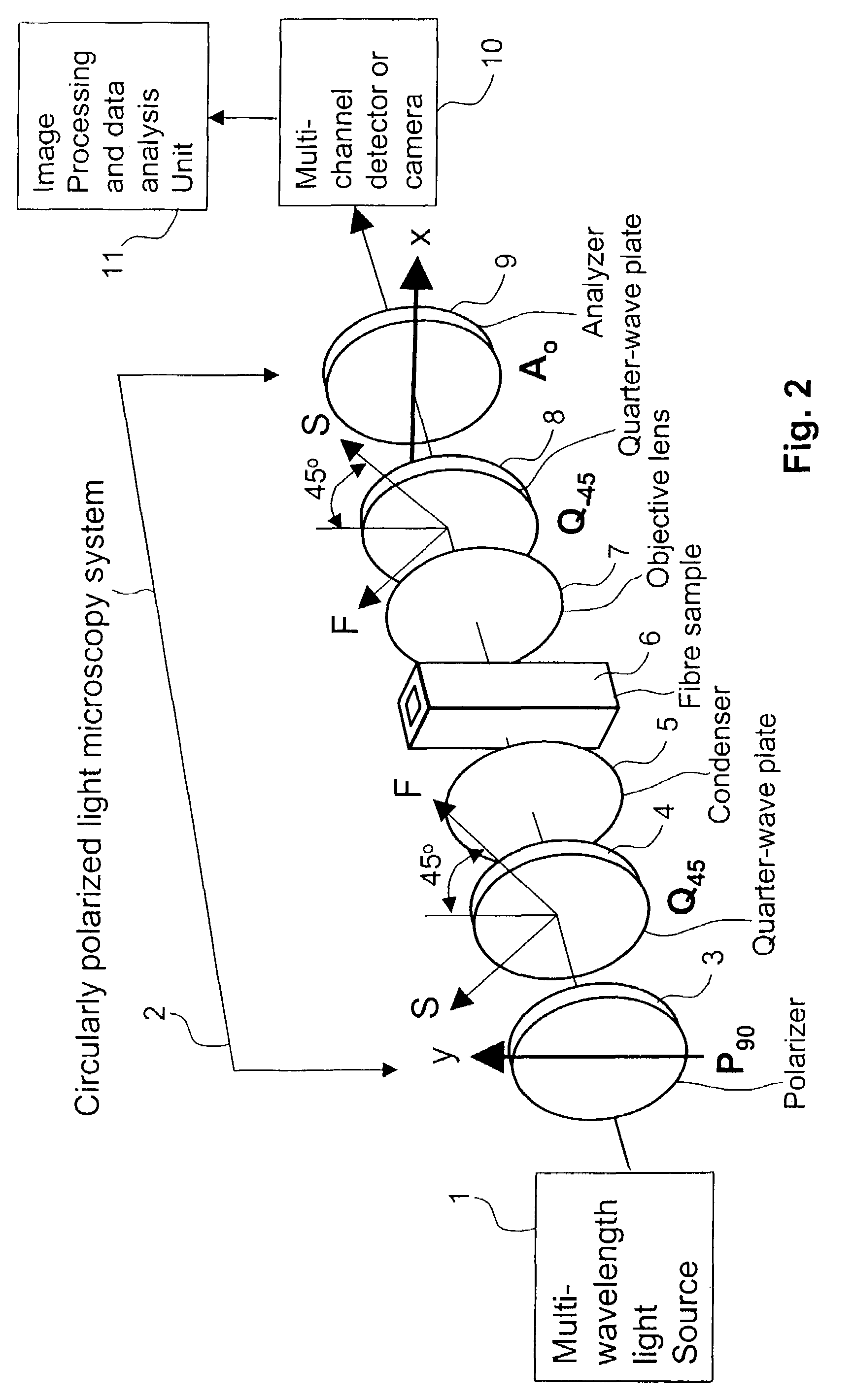 Circularly polarized light method and device for determining wall thickness and orientations of fibrils of cellulosic fibres