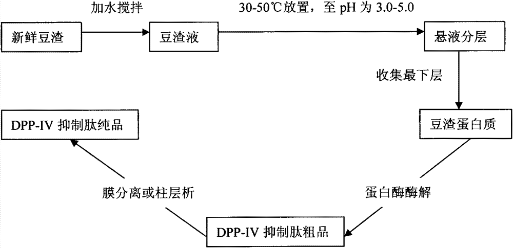 Extraction method of bean dreg protein and method used for preparing DPP-IV inhibitory peptide with bean dreg protein
