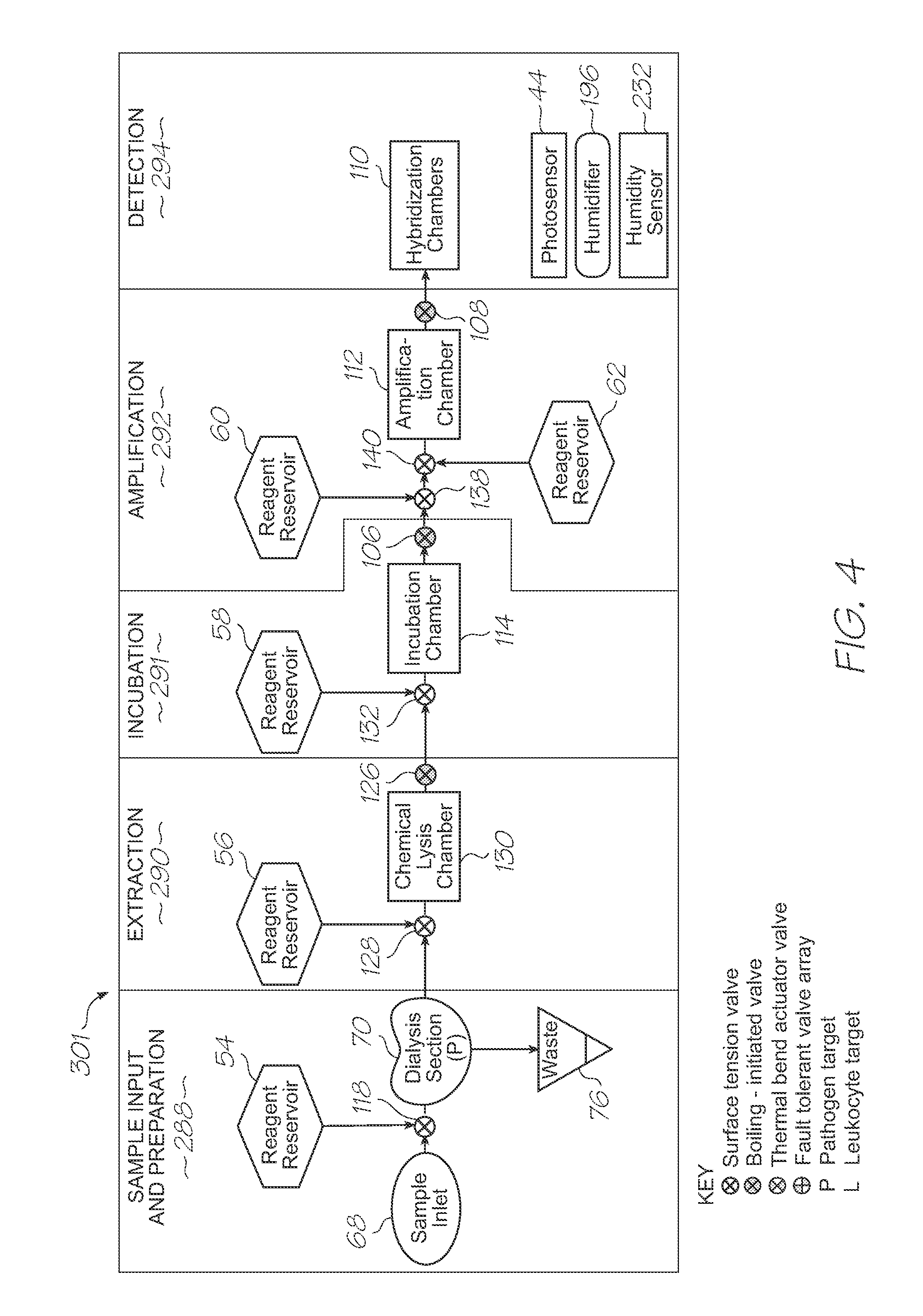 Loc device for amplifying and detecting target nucleic acid sequences using electrochemiluminescent resonant energy transfer, linear probes with covalently attached primers