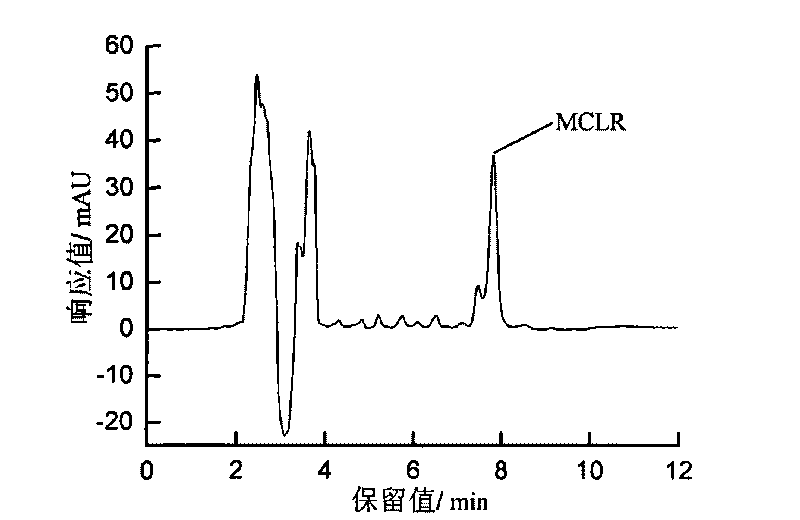 Method for purifying microcystins MCLR through extraction and normal-pressure column chromatography