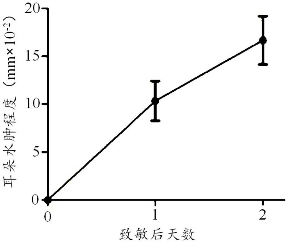 Mesenchymal stem cell for treating inflammatory bowel disease and application thereof