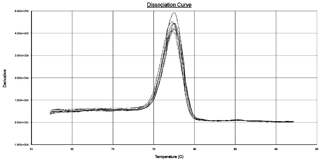 A primer composition for detecting the expression level of human-derived hsp70-1 gene and its application