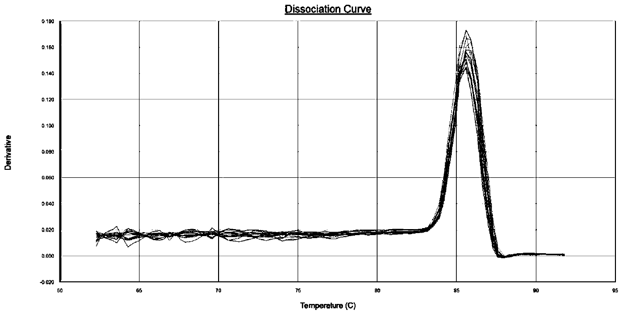 A primer composition for detecting the expression level of human-derived hsp70-1 gene and its application