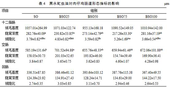 Broiler feed composition containing hermetia illucens oil and feeding method of Kebao broiler chickens