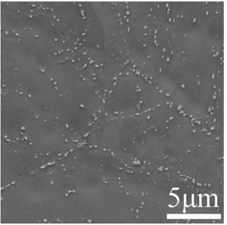 Method for obtaining ferritic heat-resisting steel with the characteristic of austenite structure