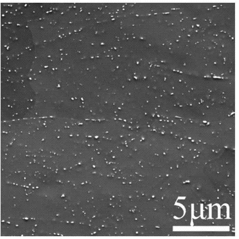 Method for obtaining ferritic heat-resisting steel with the characteristic of austenite structure