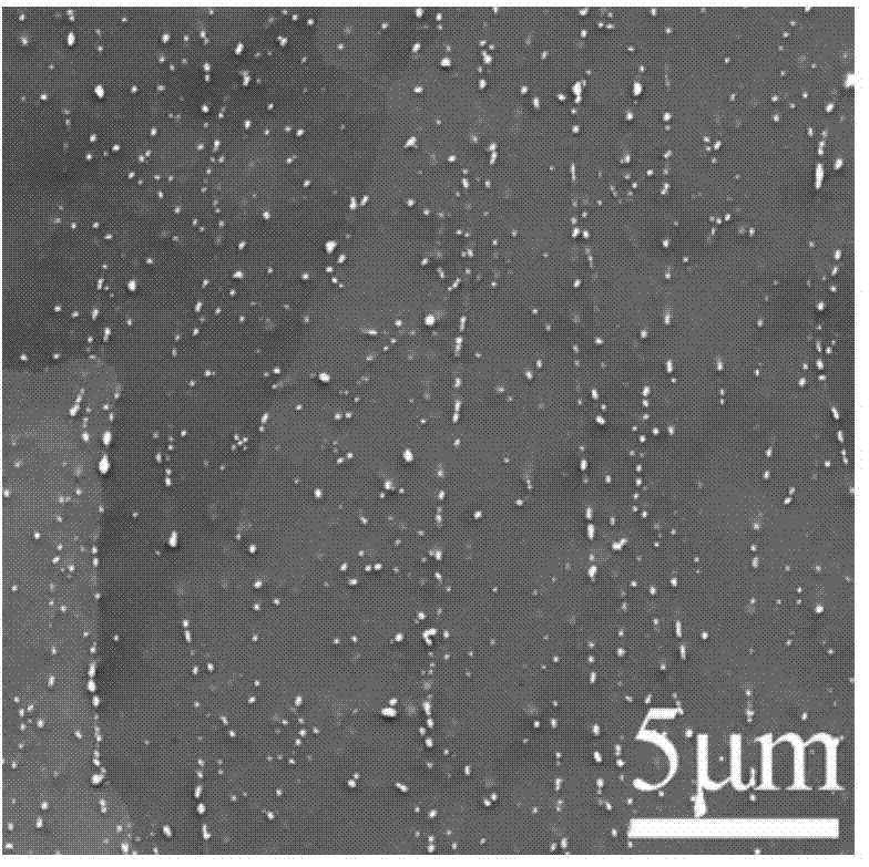 Method for obtaining ferritic heat-resisting steel with the characteristic of austenite structure