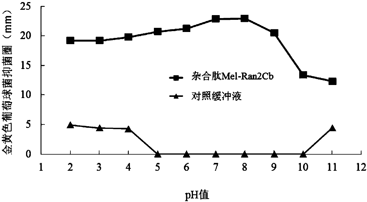 A kind of hybrid peptide and its application in antibacterial