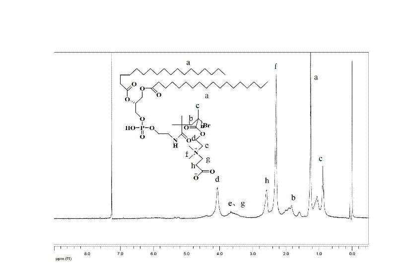 Anti-adsorption and long-circulation lipid molecule, preparation method and application thereof in fields of medicines and cosmetics