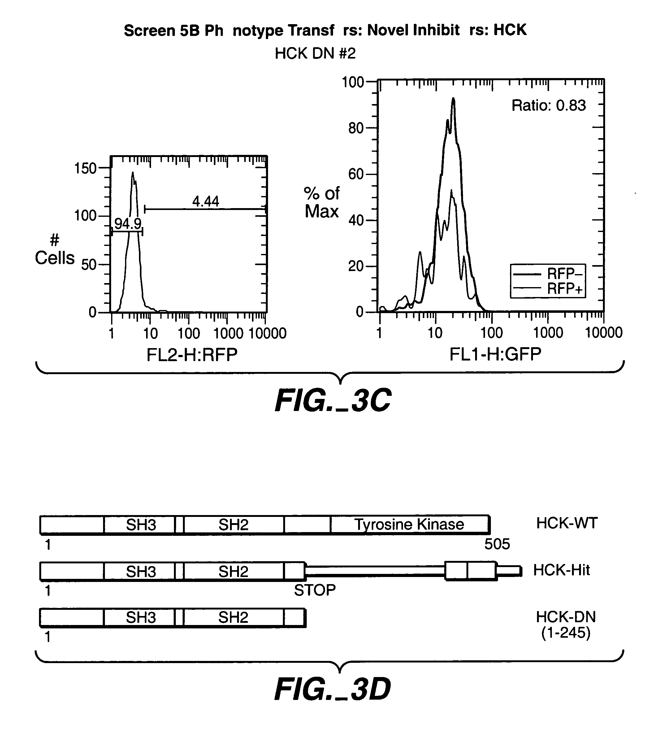Modulators of leukocyte activation, Hck compositions and methods of use