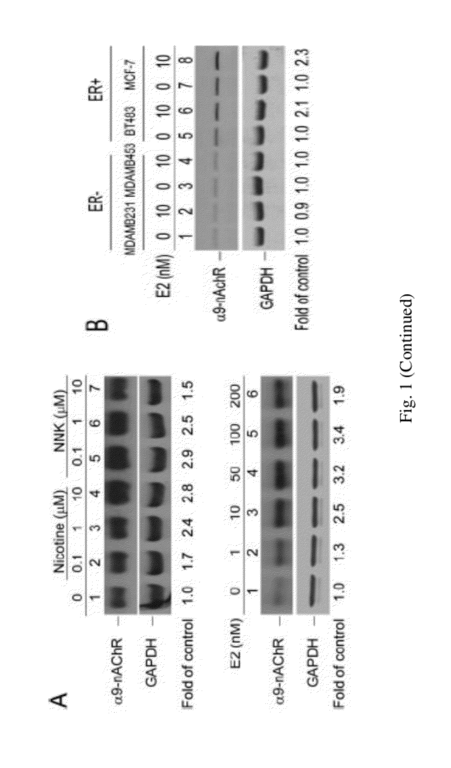 Tea polyphenols products for ceasing smoking and treating and/or preventing nicotine or nicotine-derived compounds or estrogen induced breast cancer