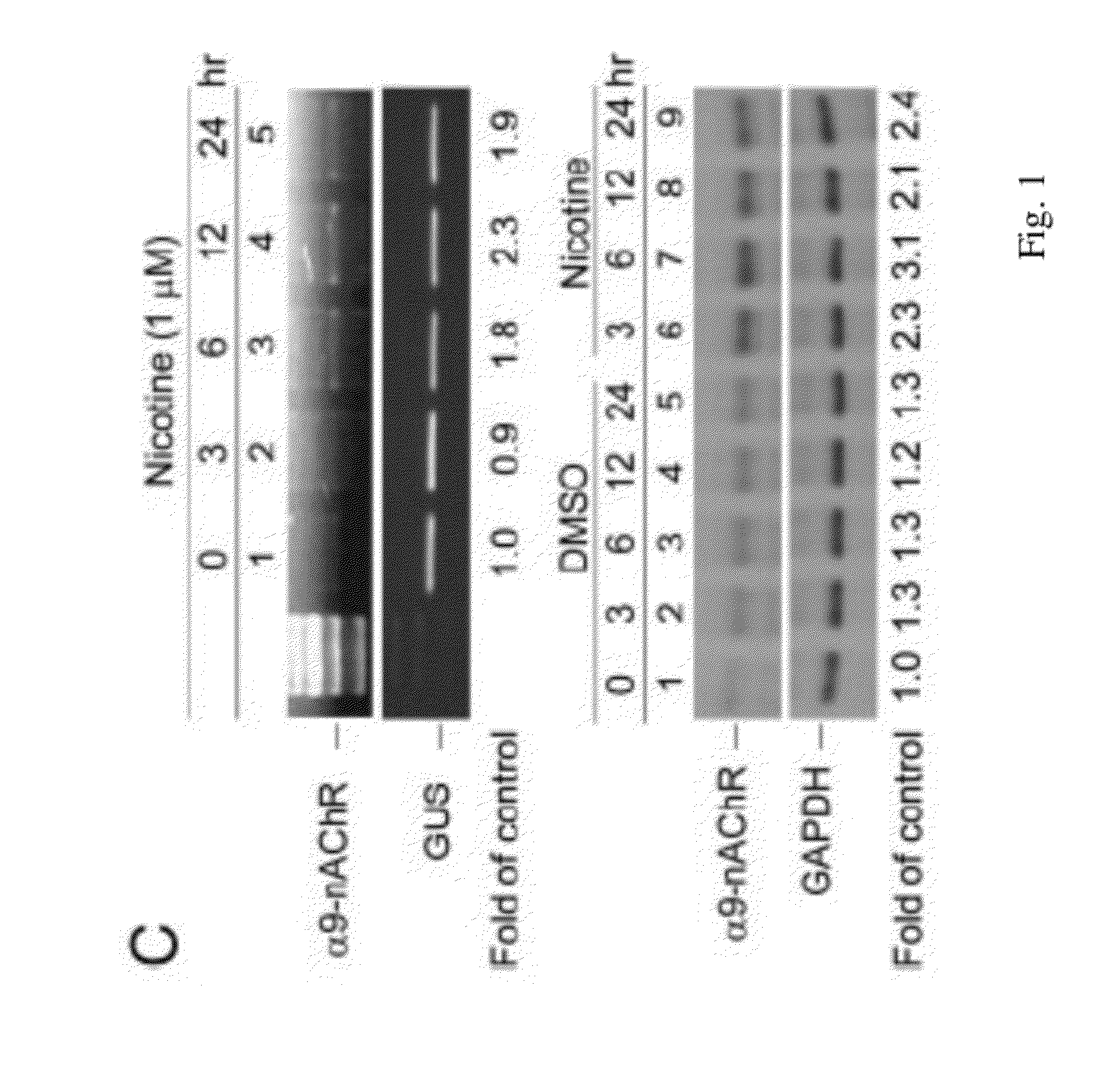 Tea polyphenols products for ceasing smoking and treating and/or preventing nicotine or nicotine-derived compounds or estrogen induced breast cancer