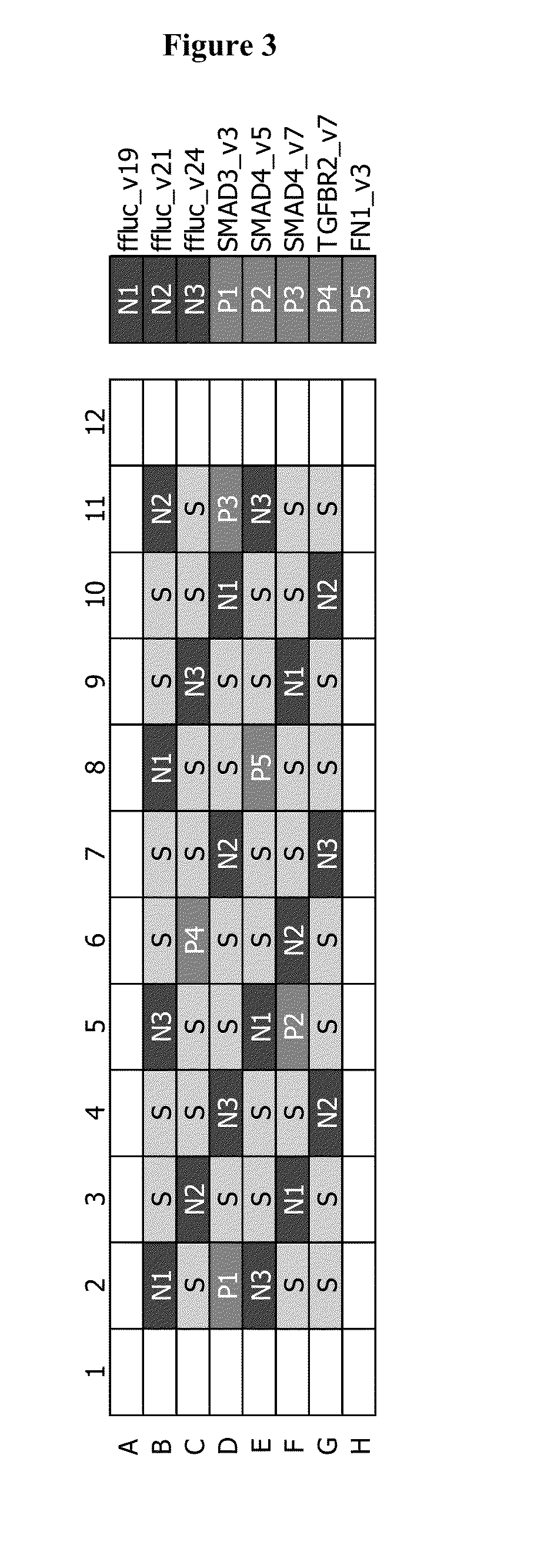 Molecular targets and compounds, and methods to identify the same, useful in the treatment of diseases associated with epithelial mesenchymal transition