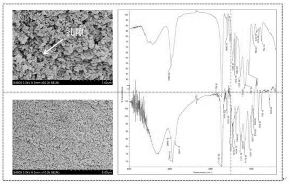 Qualitative and quantitative analysis method for bisphenol antioxidants in plastics