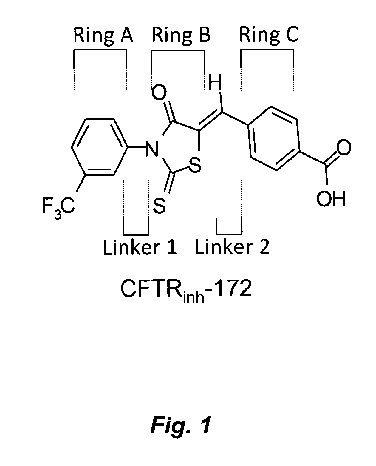 Water soluble small molecule inhibitors of the cystic fibrosis transmembrane conductance regulator